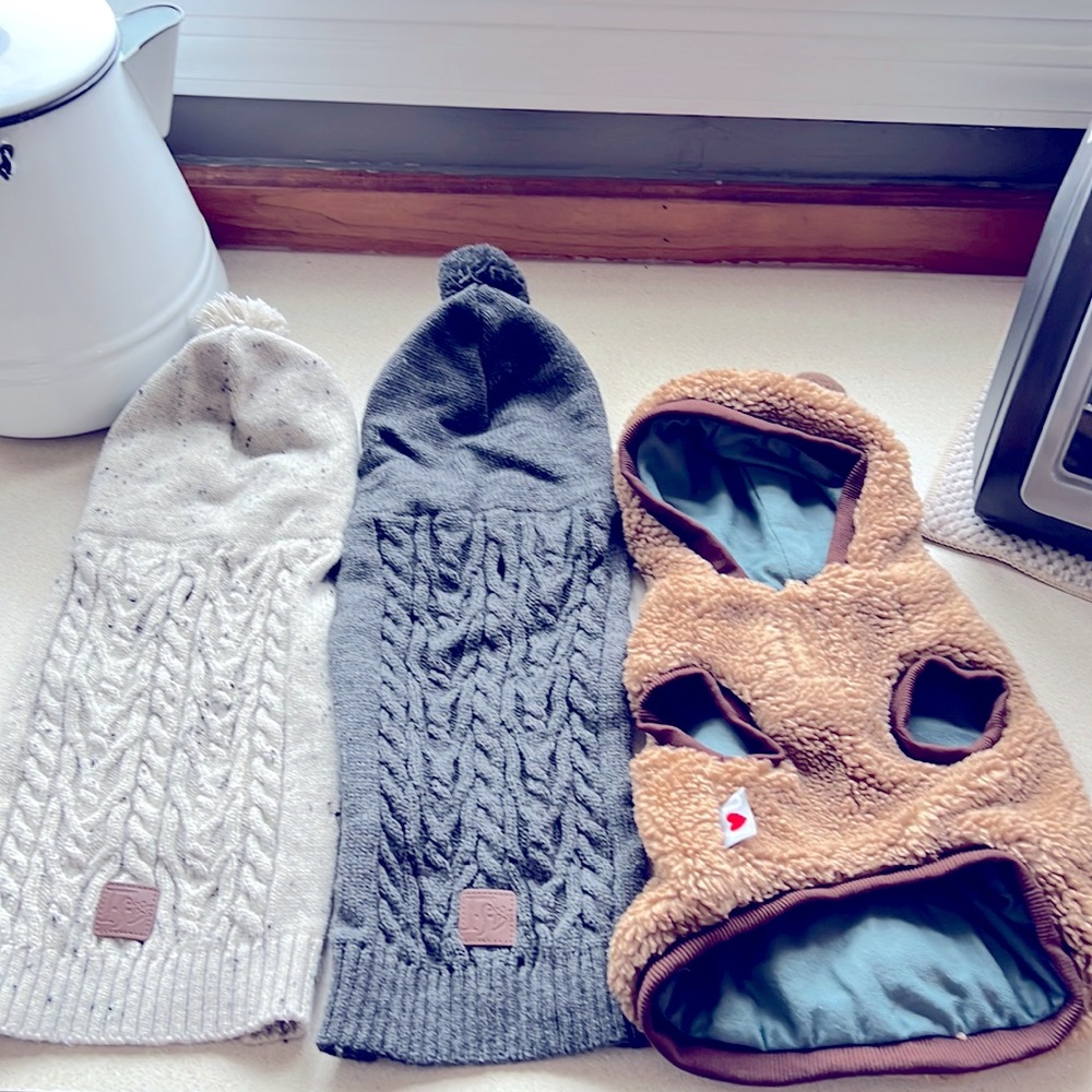 3 size medium puppy sweaters